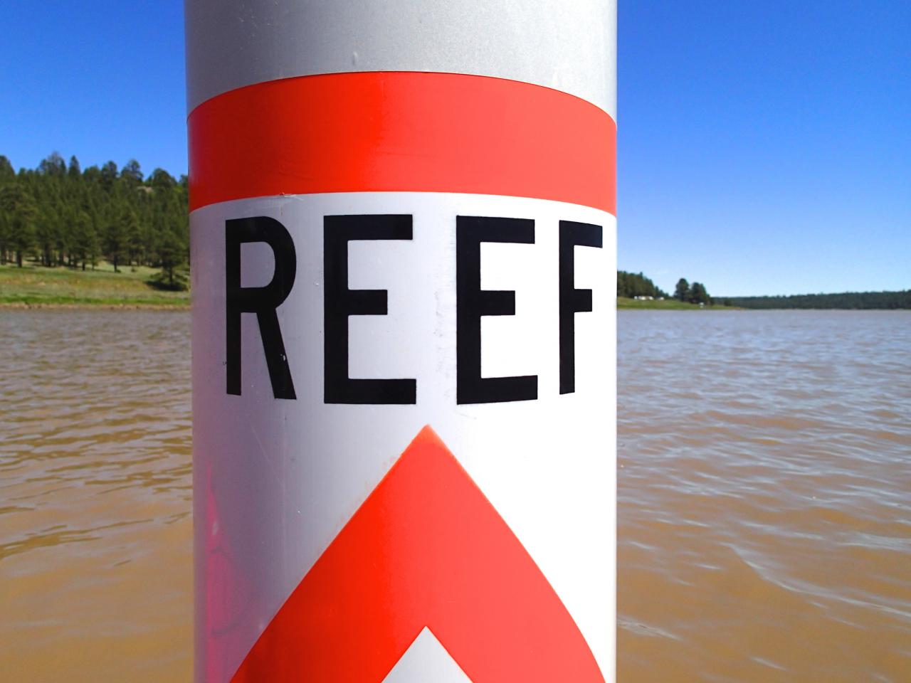 Brand and marketing director salary